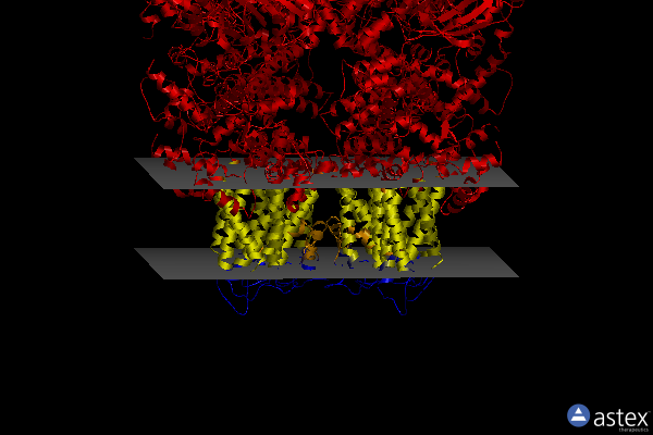 Membrane view of 8si7