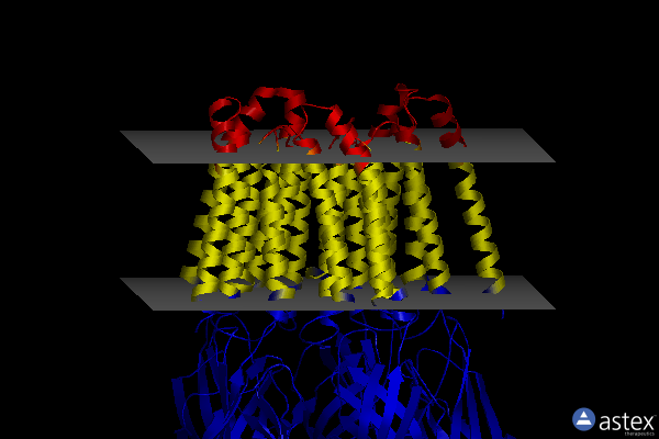 Membrane view of 8si9