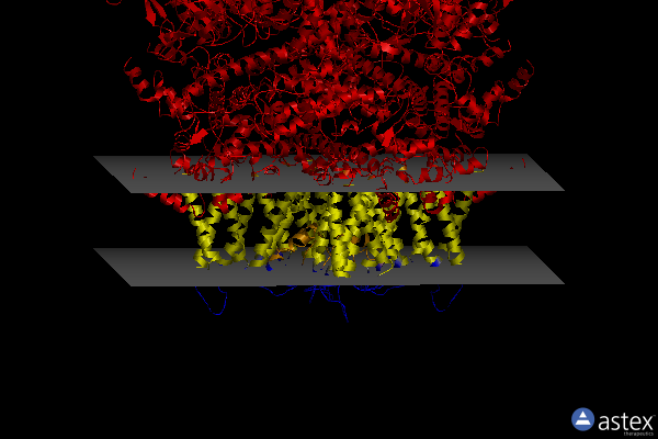 Membrane view of 8sia