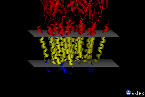 Membrane view of 8sid