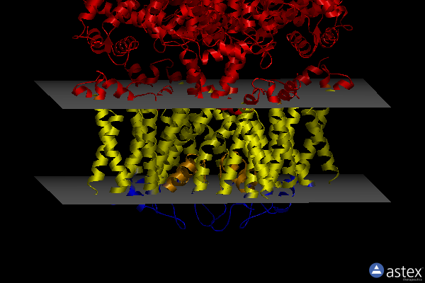 Membrane view of 8sik