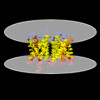 Membrane view of 8sjy