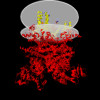 Membrane view of 8sle