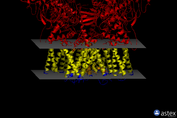 Membrane view of 8slx