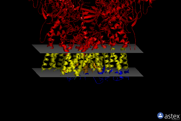 Membrane view of 8sly