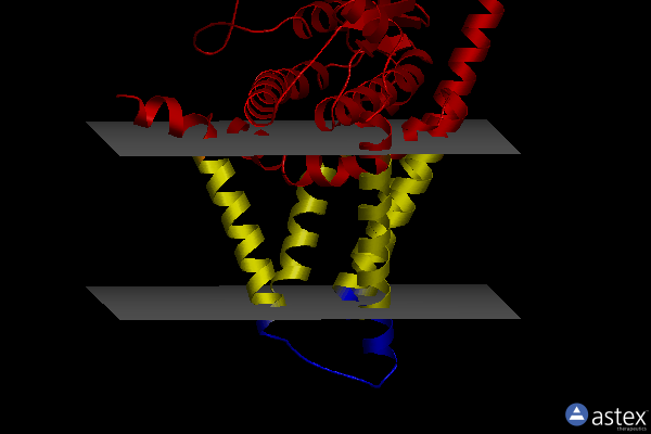Membrane view of 8snd