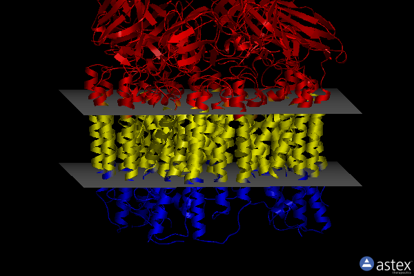 Membrane view of 8sr1
