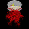 Membrane view of 8sri