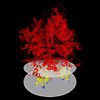 Membrane view of 8srj