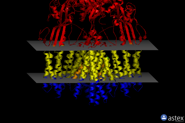 Membrane view of 8ss3
