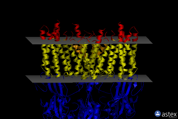 Membrane view of 8ss9