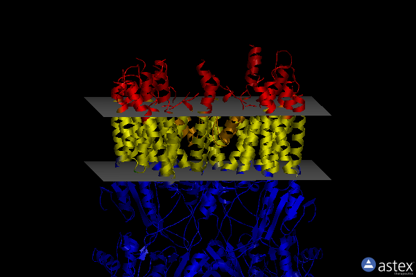 Membrane view of 8ssb