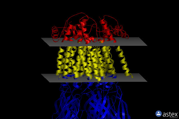 Membrane view of 8st1