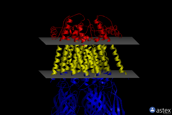 Membrane view of 8st2