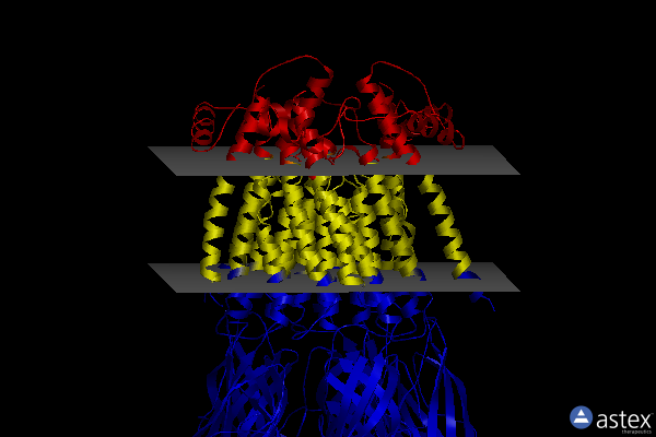 Membrane view of 8st3