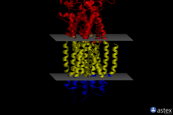 Membrane view of 8swn