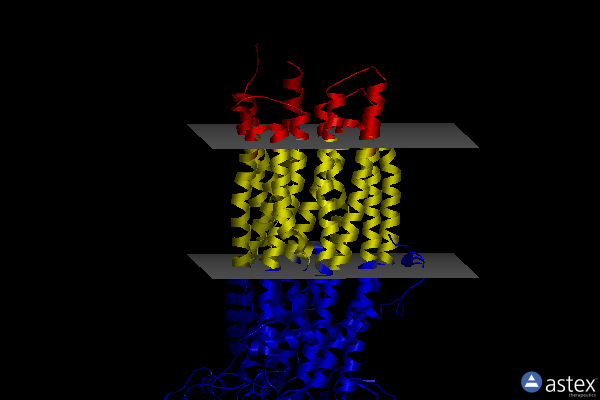 Membrane view of 8sx8