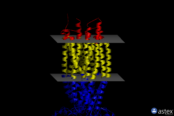 Membrane view of 8sx9