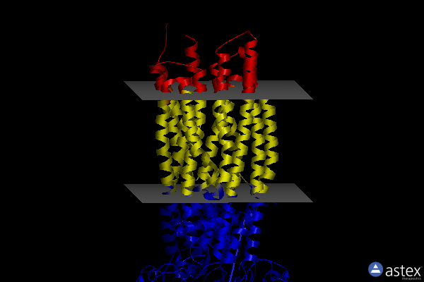 Membrane view of 8sxb