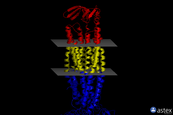 Membrane view of 8szc