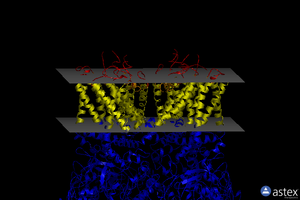 Membrane view of 8t1d