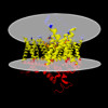Membrane view of 8t3m