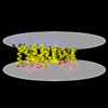 Membrane view of 8t47
