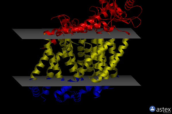 Membrane view of 8t56