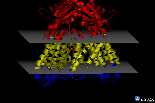 Membrane view of 8t57