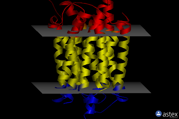 Membrane view of 8t6a