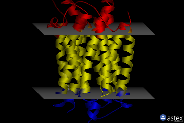 Membrane view of 8t6b