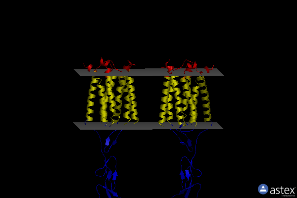 Membrane view of 8t6j