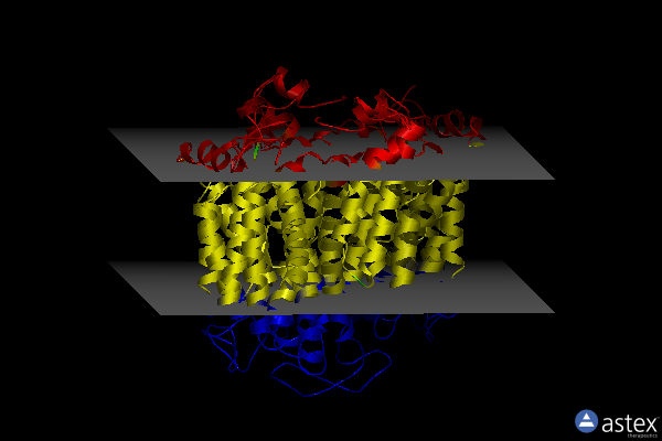 Membrane view of 8t6v