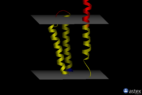 Membrane view of 8t9l