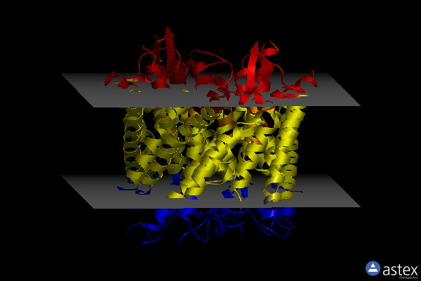 Membrane view of 8ta3