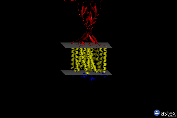 Membrane view of 8tao