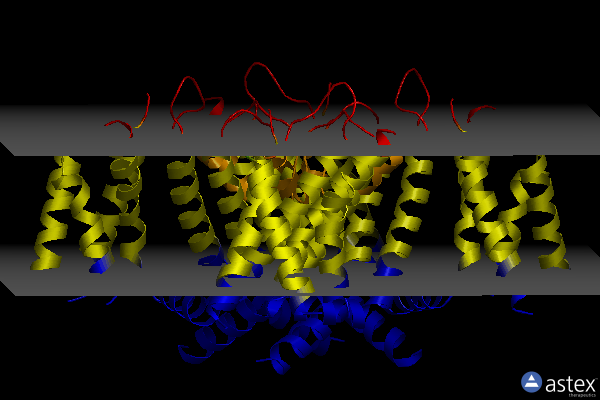 Membrane view of 8teo