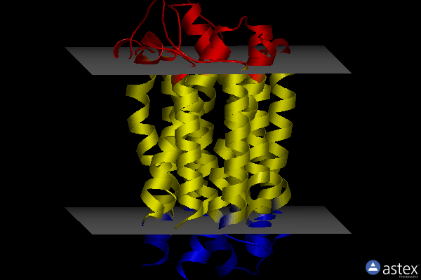 Membrane view of 8tgi