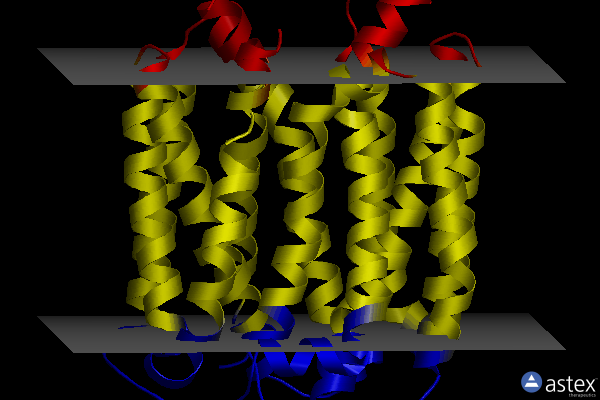 Membrane view of 8tgj