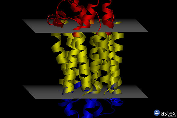 Membrane view of 8tgm