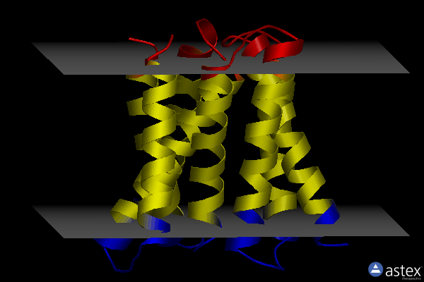 Membrane view of 8tgy