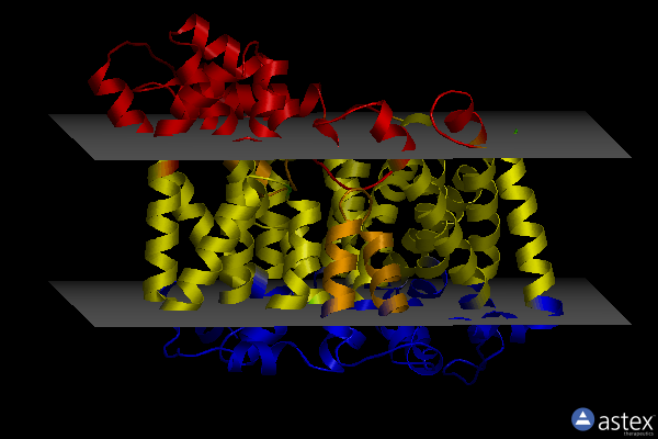 Membrane view of 8thi