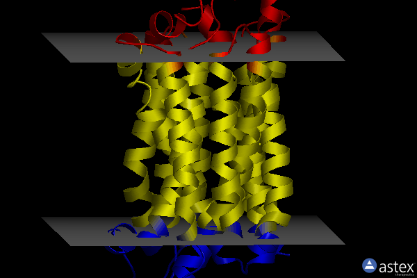 Membrane view of 8thr