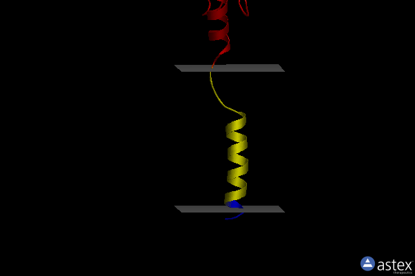 Membrane view of 8tj2