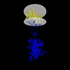 Membrane view of 8tr2