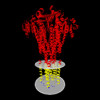 Membrane view of 8ts2