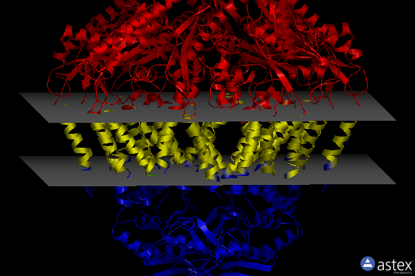 Membrane view of 8tsi