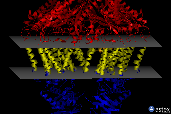 Membrane view of 8tsw