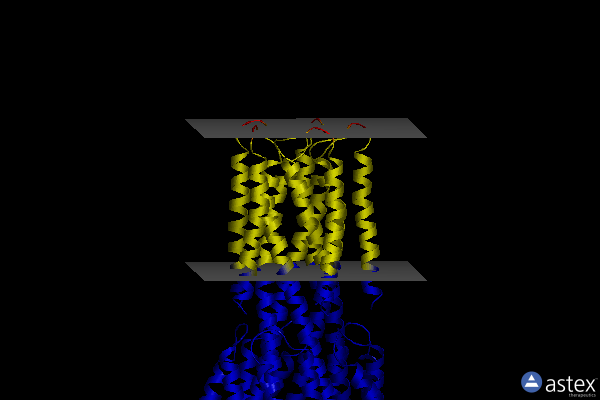 Membrane view of 8tul