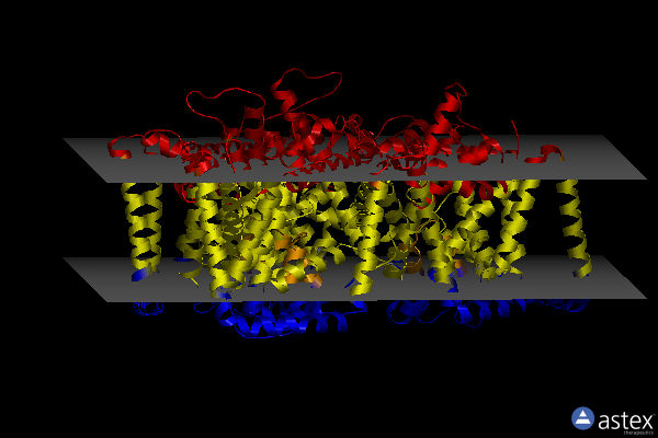 Membrane view of 8tz3